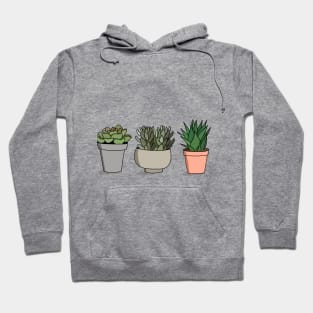 Potted Succulents Hoodie